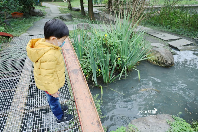 宜蘭景點『宜農牧場』門票100元、餵動物體驗、遊具、親子農場