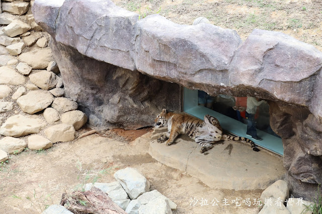 全台最老動物園『新竹動物園』全新打造沒有籠子友善動物園/新竹景點