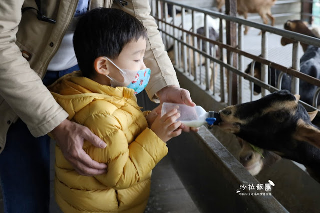 宜蘭景點『宜農牧場』門票100元、餵動物體驗、遊具、親子農場