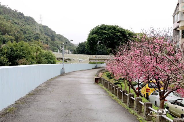 在市區就能賞櫻搭捷運就會到，假日就帶小孩來這放風