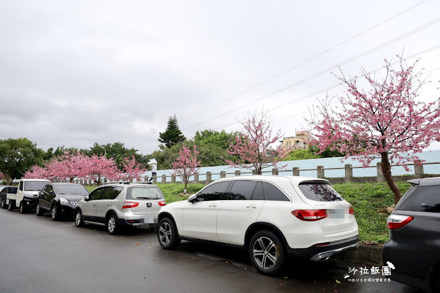 在市區就能賞櫻搭捷運就會到，假日就帶小孩來這放風