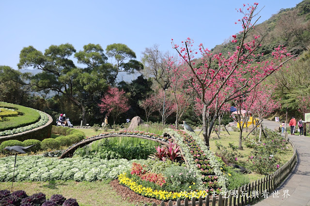 台北景點『陽明公園』陽明山花季/北投景點/櫻花季