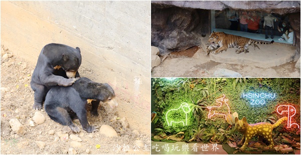 全台最老動物園『新竹動物園』全新打造沒有籠子友善動物園/新竹景點