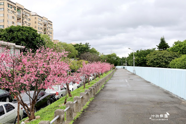 在市區就能賞櫻搭捷運就會到，假日就帶小孩來這放風