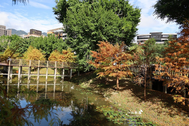 北投奇岩一號公園、落羽松、共融式兒童遊樂場、生態池