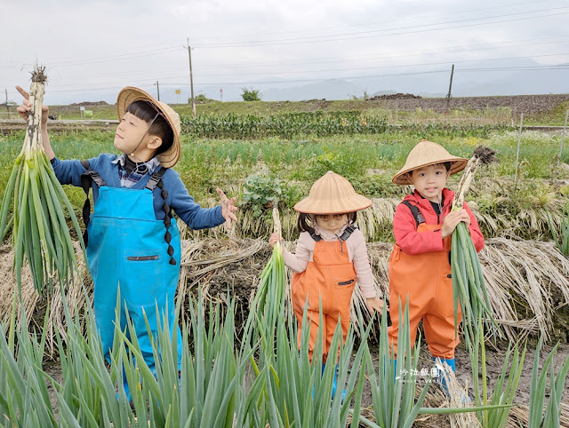 宜蘭親子景點『初咪體驗農場』拔三星蔥、、抓泥鰍、DIY創意蔥麵包體驗、沙坑