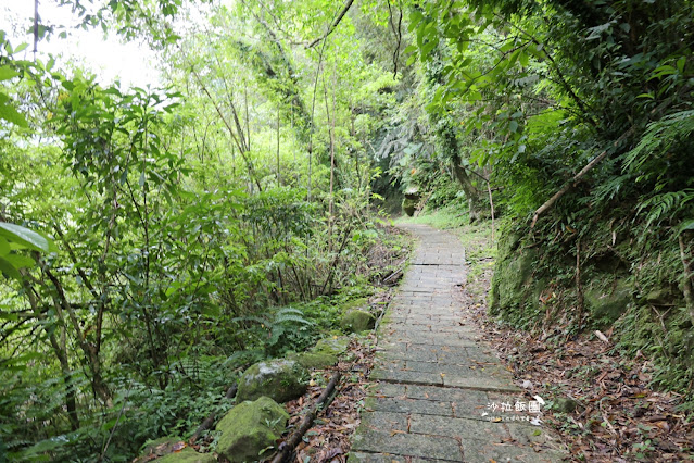 石碇老街、平溪、菁桐老街一日遊，微笑106串聯茶、蜜、農