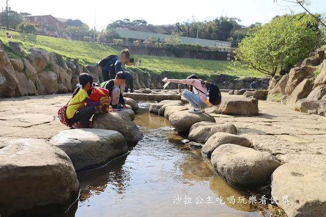 內湖景點『大溝溪親水公園』免費玩水/萬株花海捷運大湖公園站