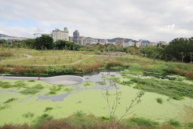 士林最新景點‼️雙溪濕地公園，制高點展望平台