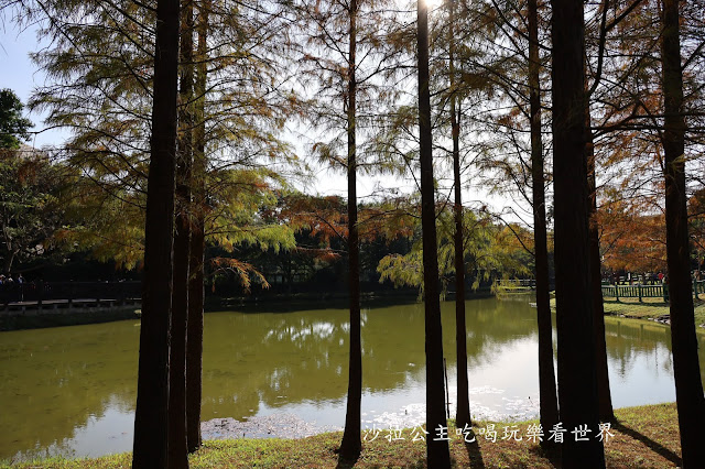 士林景點『原住民文化主題公園』IG打卡熱點/網美必拍/士林落羽松