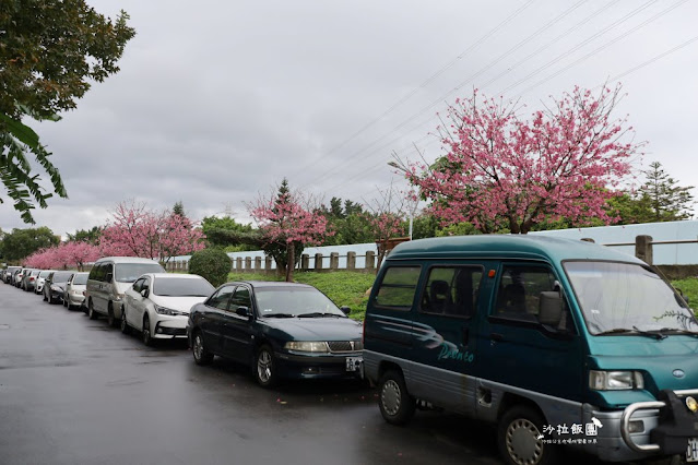 在市區就能賞櫻搭捷運就會到，假日就帶小孩來這放風