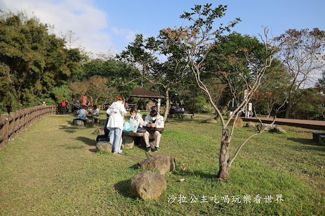 內湖景點『大溝溪親水公園』免費玩水/萬株花海捷運大湖公園站