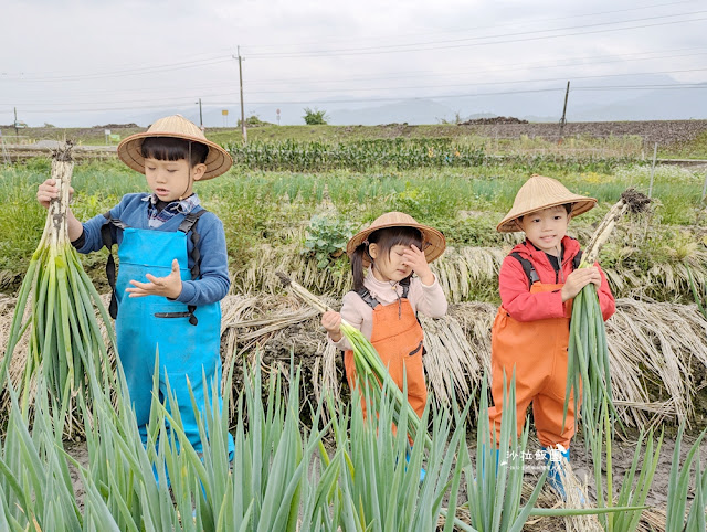 宜蘭親子景點『初咪體驗農場』拔三星蔥、、抓泥鰍、DIY創意蔥麵包體驗、沙坑