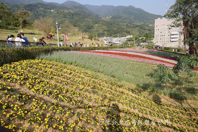 加碼鬱金香/迷你台版富良野『北投社三層崎公園』紫色薰衣草／北投景點