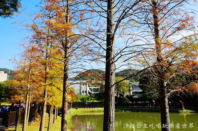 士林景點『原住民文化主題公園』IG打卡熱點/網美必拍/士林落羽松