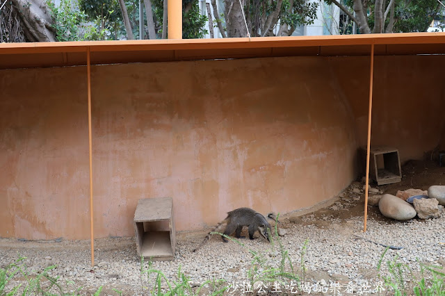 全台最老動物園『新竹動物園』全新打造沒有籠子友善動物園/新竹景點