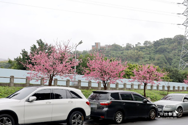 在市區就能賞櫻搭捷運就會到，假日就帶小孩來這放風