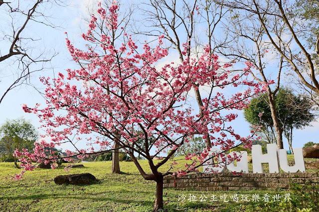 內湖景點『大溝溪親水公園』免費玩水/萬株花海捷運大湖公園站