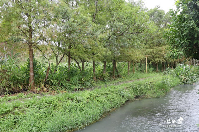 宜蘭景點『勝洋水草休閒農場』釣魚、划竹筏、溫泉魚、玩水、落羽松、IG彩虹傘、DIY