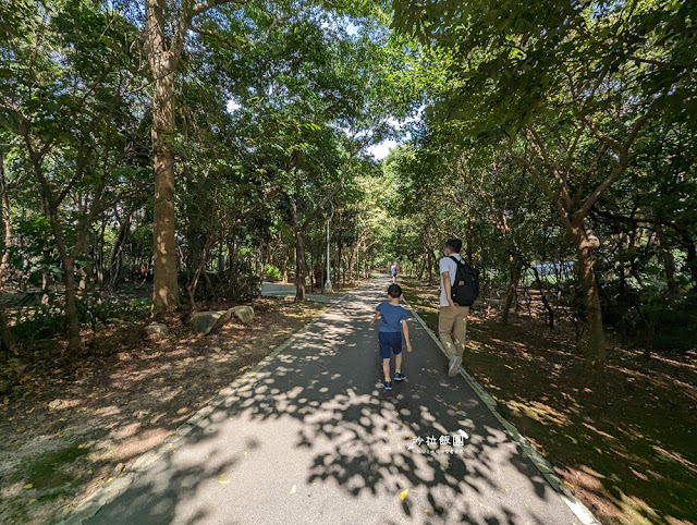 新北親子景點林口樂活公園捷運主題公園，4米高「車廂溜滑梯」超刺激