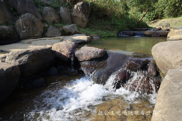 內湖景點『大溝溪親水公園』免費玩水/萬株花海捷運大湖公園站