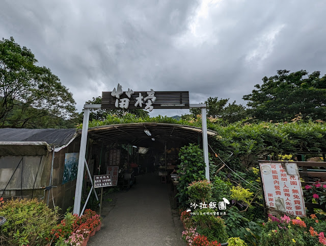 竹子湖土雞『苗榜海芋花園餐廳』繡球花、海芋、土雞