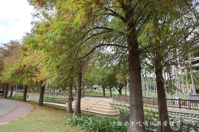 士林景點/台北人不用跑遠『士林官邸落羽松』.梅花.落羽松一起看