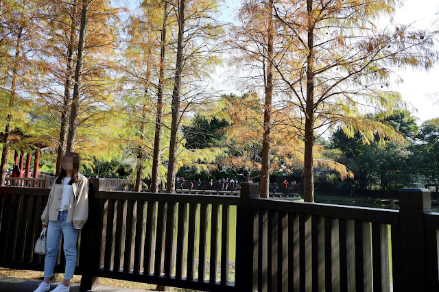 士林景點『原住民文化主題公園』IG打卡熱點/網美必拍/士林落羽松