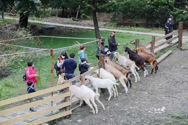 宜蘭景點『宜農牧場』門票100元、餵動物體驗、遊具、親子農場