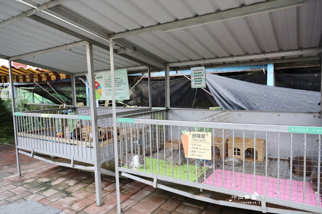 宜蘭景點『宜農牧場』門票100元、餵動物體驗、遊具、親子農場