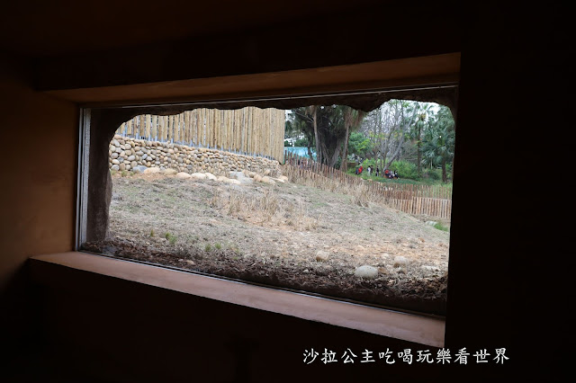 全台最老動物園『新竹動物園』全新打造沒有籠子友善動物園/新竹景點