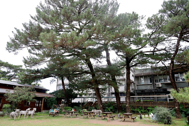 花蓮景點『松園別館』、免費景點『臥松園區』百年松林