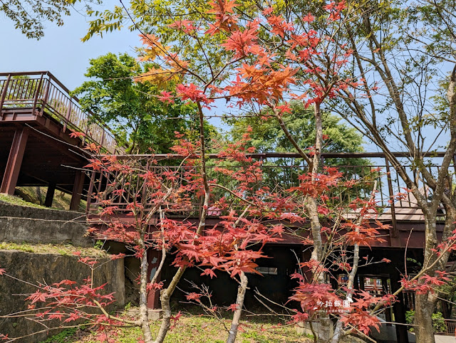 漫步雲端S型空中步道『碧山巖露營場』內湖約會景點，視野超棒