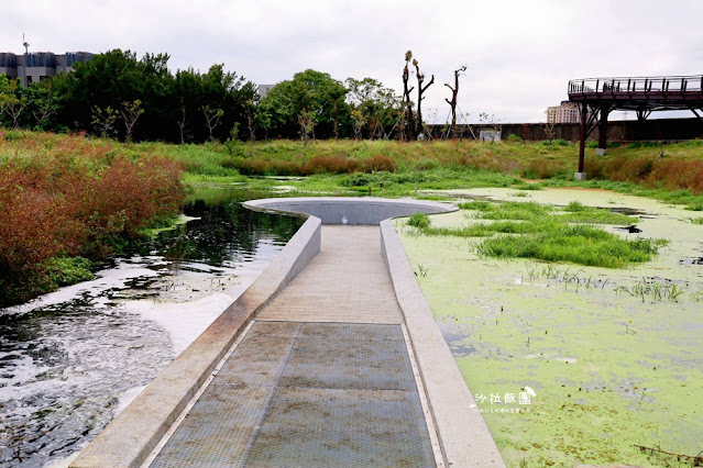 士林最新景點‼️雙溪濕地公園，制高點展望平台