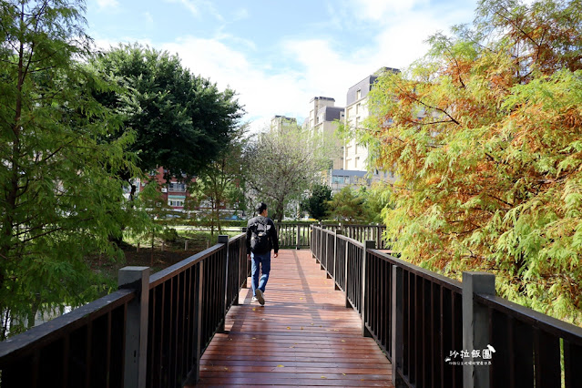 北投奇岩一號公園、落羽松、共融式兒童遊樂場、生態池