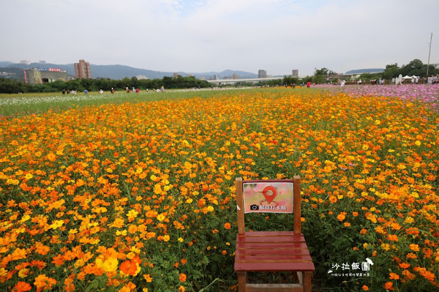 免費入場【2021愛戀關渡花現幸福】5公頃大片花海，北投景點