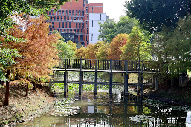 北投奇岩一號公園、落羽松、共融式兒童遊樂場、生態池