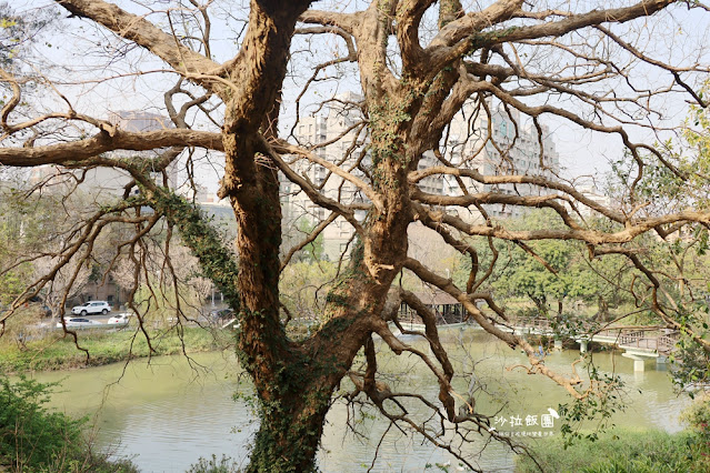 新竹景點推薦『玻璃工藝博物館』新竹公園、玻璃工藝特展