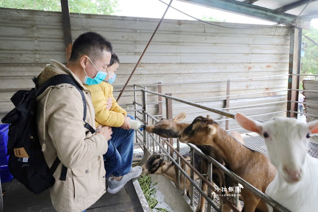 宜蘭景點『宜農牧場』門票100元、餵動物體驗、遊具、親子農場