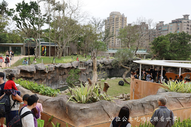 全台最老動物園『新竹動物園』全新打造沒有籠子友善動物園/新竹景點