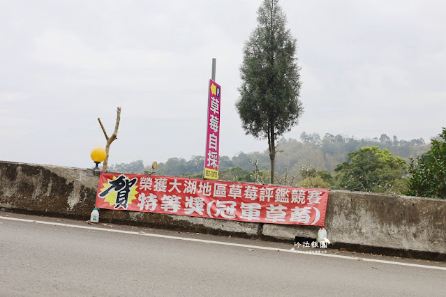 苗栗大湖草莓園推薦『最後一家得草莓園』超大奶油草莓人見人愛