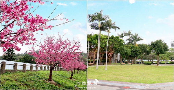 在市區就能賞櫻搭捷運就會到，假日就帶小孩來這放風