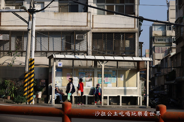 加碼鬱金香/迷你台版富良野『北投社三層崎公園』紫色薰衣草／北投景點