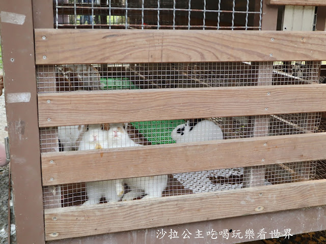 宜蘭親子免費景點『長埤湖風景區』宜蘭旅遊/一日遊景點/露營區/可愛動物