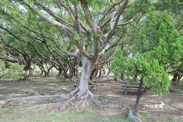 士林景點宇宙探險共融公園『美崙公園』不二良小鼠巨型公仔.溜滑梯.溜冰場