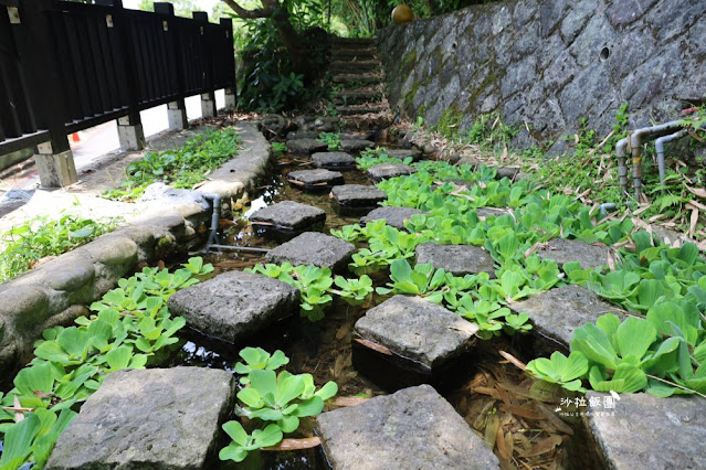 士林隱藏版親水步道『菁礐古圳』百年古圳