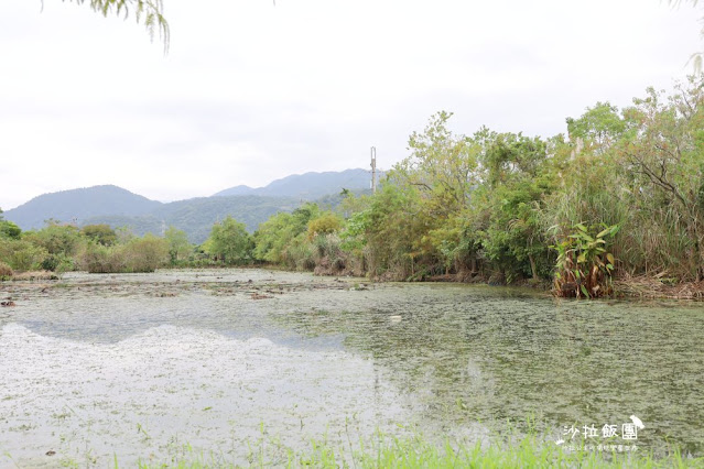 宜蘭景點『勝洋水草休閒農場』釣魚、划竹筏、溫泉魚、玩水、落羽松、IG彩虹傘、DIY