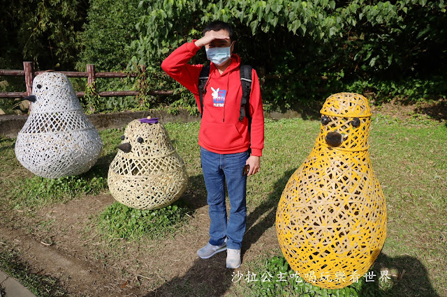 內湖景點『大溝溪親水公園』免費玩水/萬株花海捷運大湖公園站