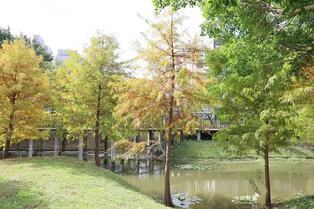 北投奇岩一號公園、落羽松、共融式兒童遊樂場、生態池