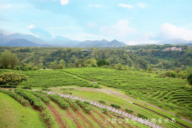 南投景觀咖啡『鹿篙咖啡莊園』南投隱藏版咖啡廳/台灣農林旗下新品牌